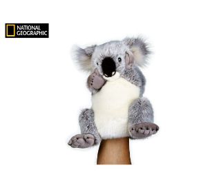 Obrázek z National Geographic maňásek  Koala 26 cm 